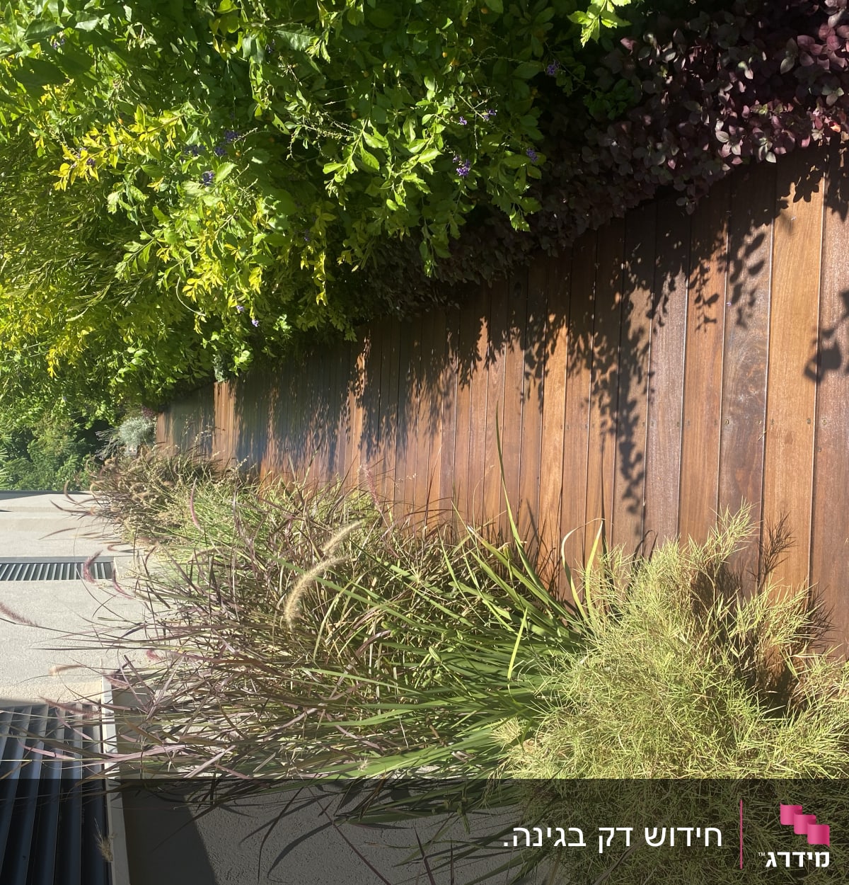 גדר עץ עם צמחים ירוקים ופרחים סגולים